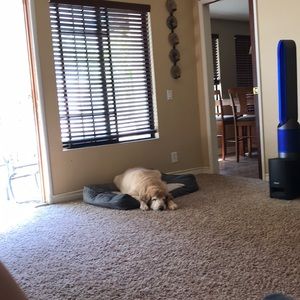 Meet your Posher, Kamee